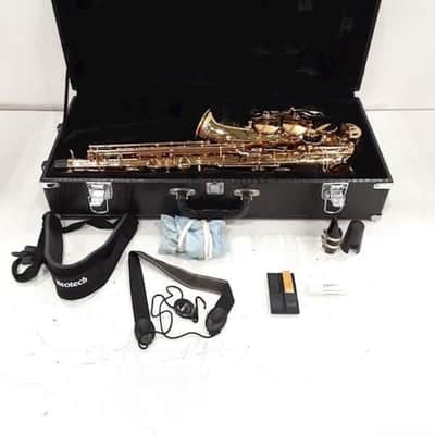 Cannonball CANNONBALL ALCAZAR ALTO SAXOPHONE mid 10s - LACQUERED w/CASE image 1