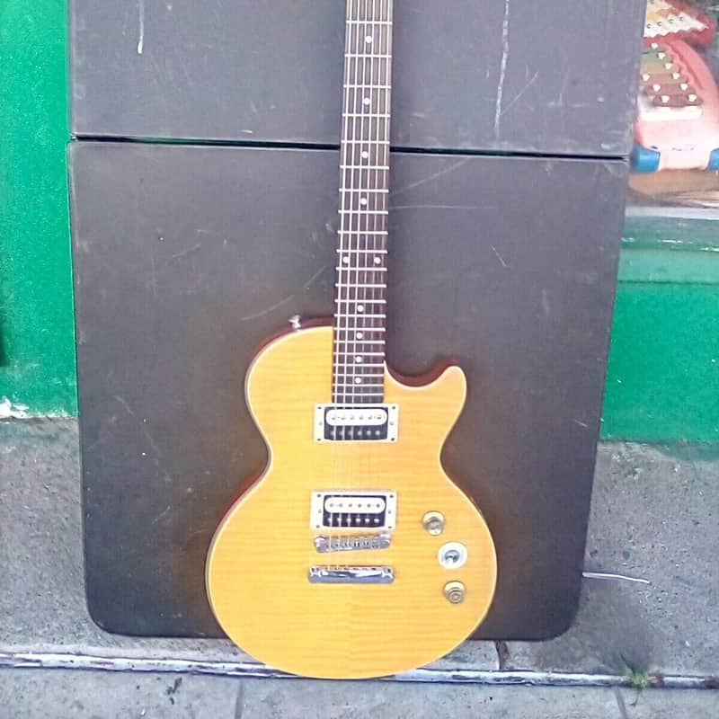 2014 – 2019 Epiphone Slash Signature “Appetite for Destruction…