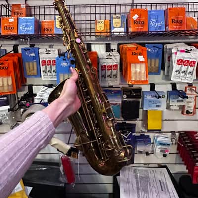 Vintage Frank Holton Alto-Saxophone image 13
