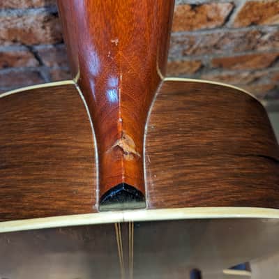 Washburn Parlor 1923 Pre-War II - Brazilian Rosewood back image 5