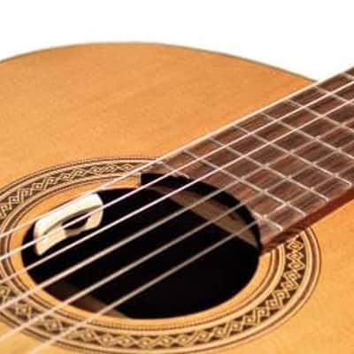 LR Baggs Anthem-SL-C Classical Acoustic Guitar Pickup - White image 2