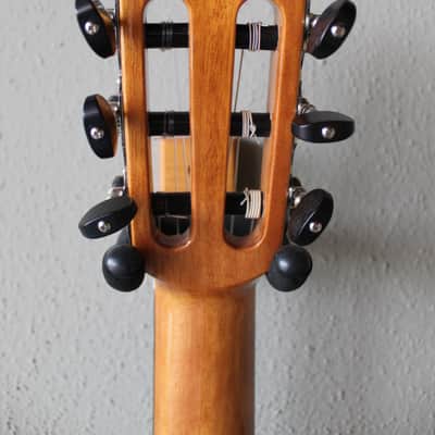 Brand New Cordoba Fusion 14 Maple Nylon String Acoustic/Electric Classical Guitar image 9
