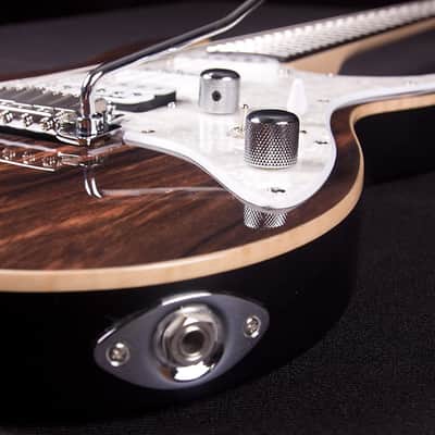 Michael Kelly MK65CSEPRB Custom Collect. 1965 Striped Ebony Top Maple Neck 6-String Electric Guitar image 7