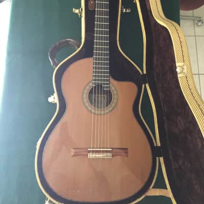 Kirk Sand Nylon string Brazilian rosewood and cedar 1985 image 4