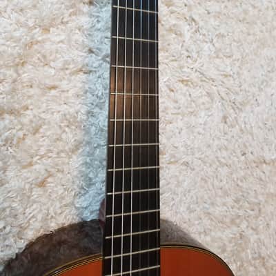 Takamine No.5 image 13