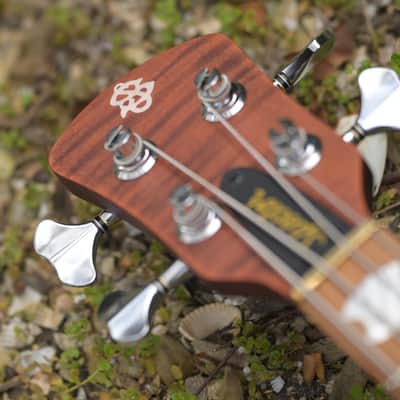 Spector Euro 4 RST - Sienna Stain Matte image 11