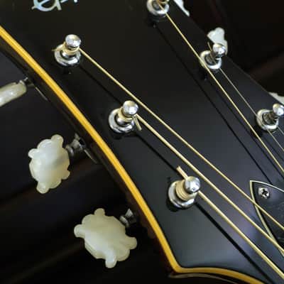Epiphone 6830 - Kalamazoo 1971 - Vintage RARE label! image 23
