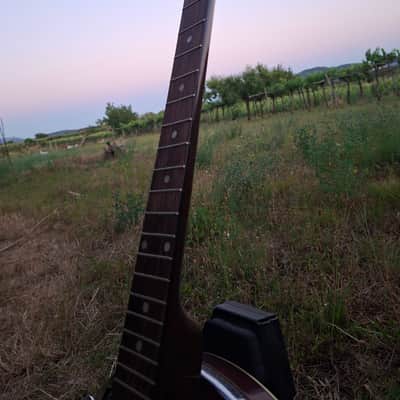 Hoyer 6-String Guitar Banjo (Banjitar) 1970s image 4