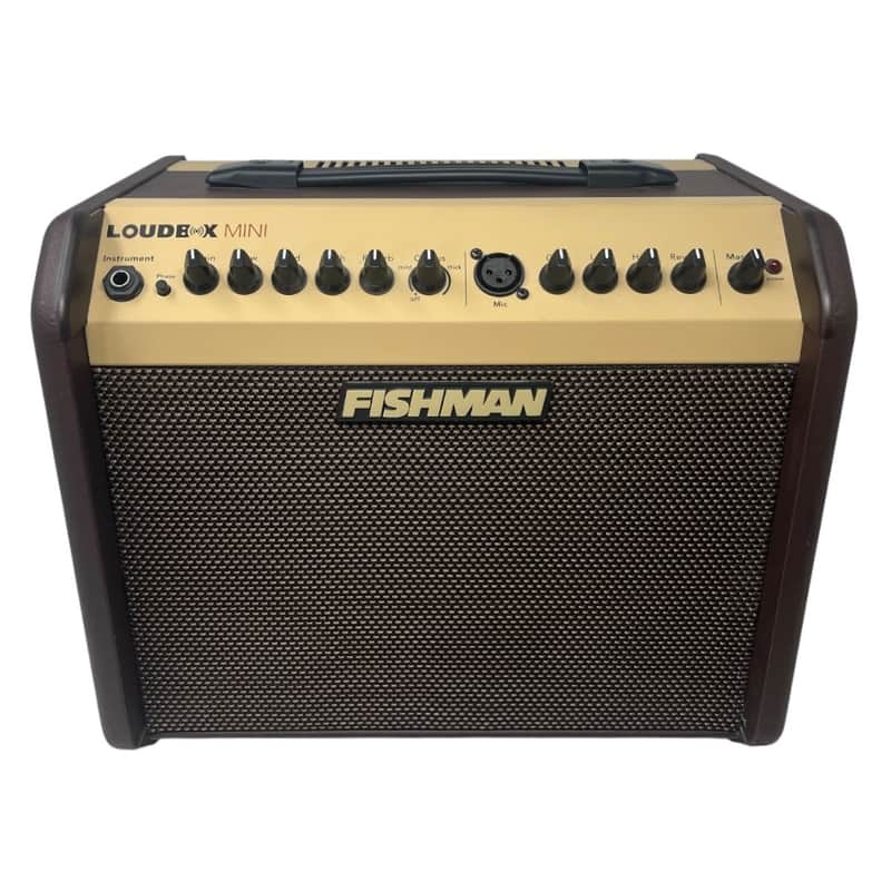 Fishman Loudbox Mini 60 Watt PRO LBX 500 image 1