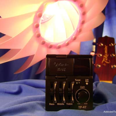 Takamine TP-4T "G" Series Acoustic Guitar preamp NEW Authorized Dealer image 12