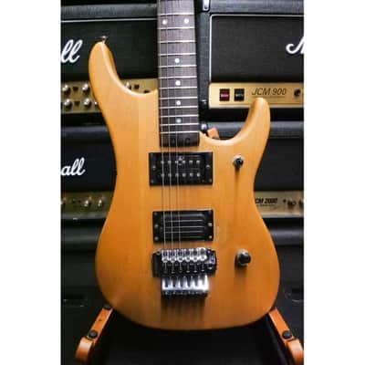 Washburn N2 image 2