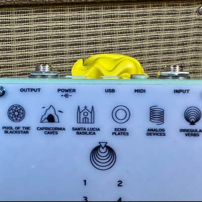 Poly Effects VERBS Reverb Made in Australia image 5