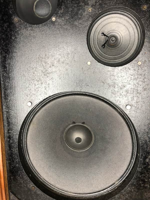 Coral BX 1001 3 Way Speaker System | Reverb