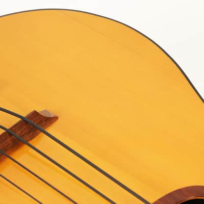 1980 EKO BA/4 Acoustic Fretless Bass Guitar Vintage Hofner Hagstrom image 8