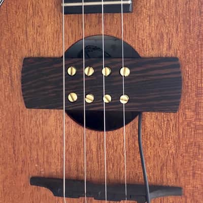 Krivo Mandobucker pickup for mandolin, octave mandolin, tenor guitar, bouzouki: Wenge ebony wood image 4