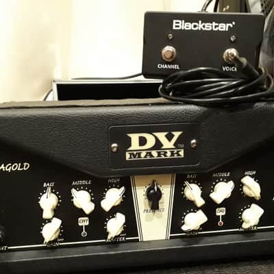 DV Mark Maragold Greg Howe Signature 2-Channel 40-Watt Guitar Amp Head 2010s - Black Bild 10