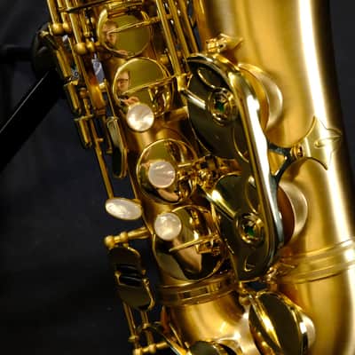 P. Mauriat Le Bravo 200 Alto Saxophone LEBRAVO-200A image 10