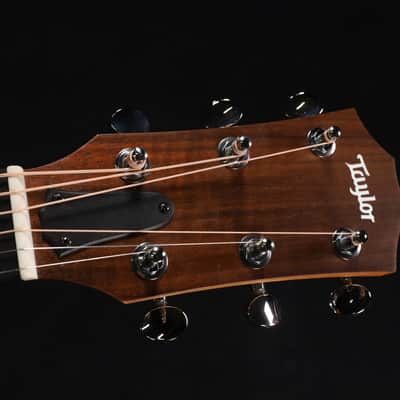 Taylor 24ce Mahogany Top with African Sapele Back and Sides with Fishman Pickup NEW PRODUCT 320 image 4