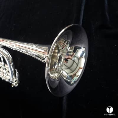 Yamaha XENO 8335 Custom Goldbrass trumpet case mouthpiece GAMONBRASS image 5