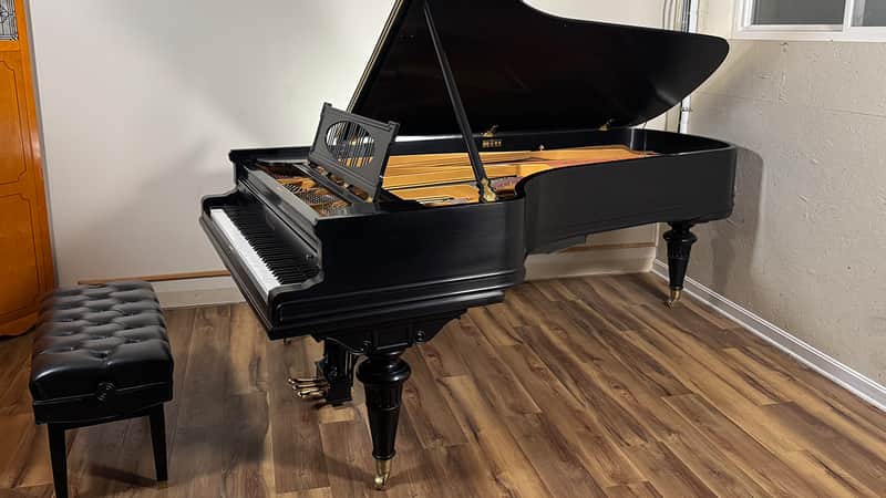 Baldwin D 1901 - Ebony Satin image 1