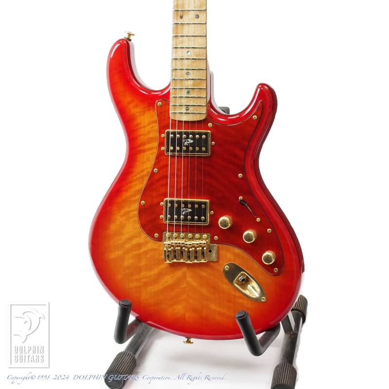 Ruokangas Guitars VSOP DX Birth Custom [Pre-Owned] image 1