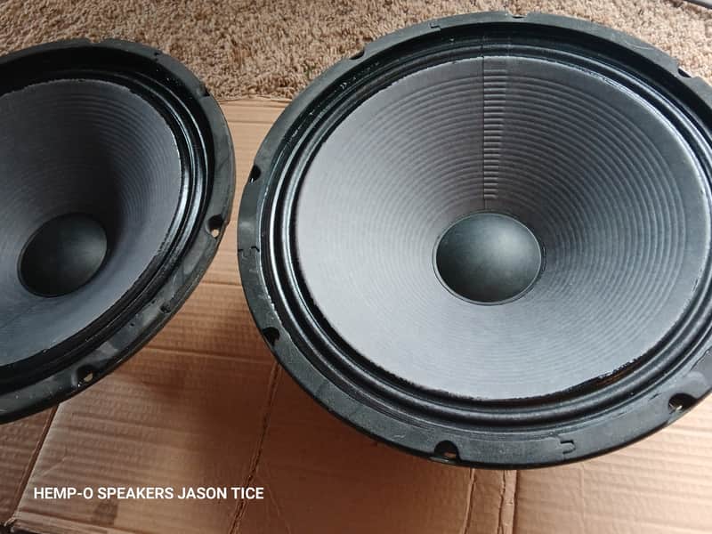 12" ALNICO SPEAKER(S) 16 OHMS HEAVY .400" THICK IRON ! EMINENCE 2" VOICE COILS OVER 6 POUNDS 2 AVAILABLE 16 Ohms image 1