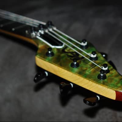 Very Rare!  2017 USA TSmith Custom Built! 6 String w/Floyd Rose-Ibanez RG Killer! Incredible Guitar! image 13