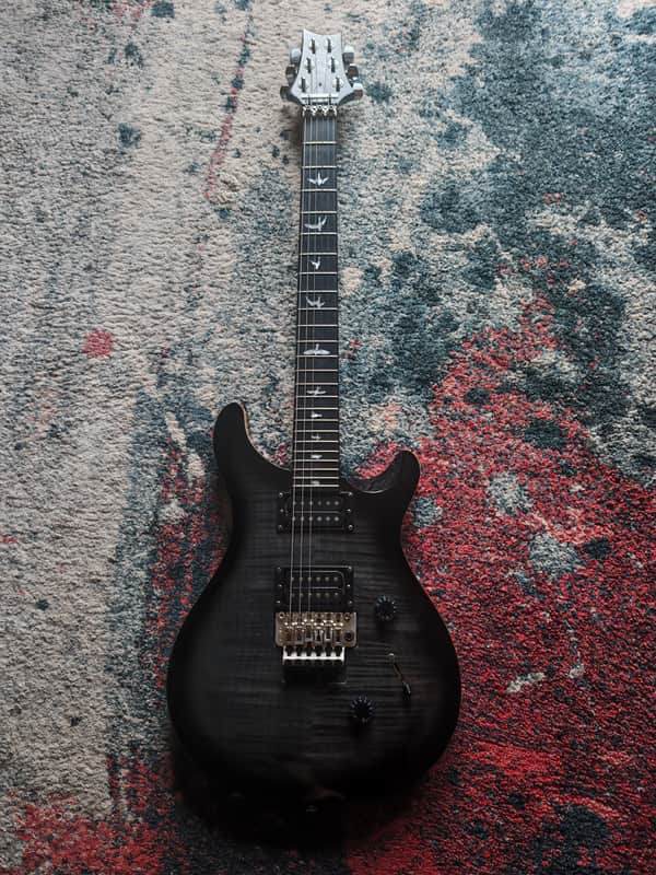 PRS SE Custom 24 Floyd image 1