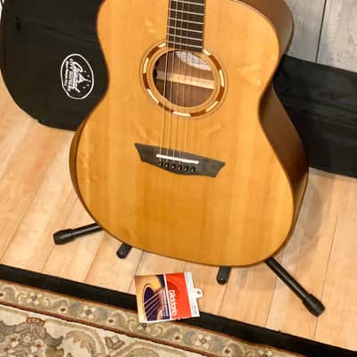 Sweet New Washburn WCG10SENS Acoustic/Electric Guitar, Help Support Small Business & Buy It Here image 15