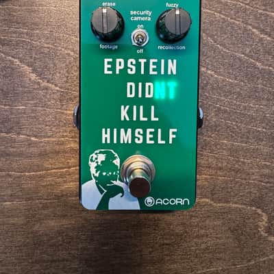 Acorn Amplifiers Epstein Didn't Kill Himself Fuzz image 3