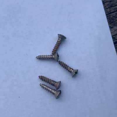 Fender Esquire Pickguard Screws 1951 image 3