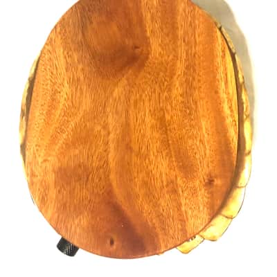 Electric turtle shell space drum image 1