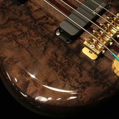 ALEMBIC USED ​​Used Europa 4 (Birdseye Maple Top / TBK) '19 image 4