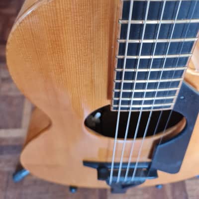 Fibonacci ROMA 2020, Natural , Gloss image 19