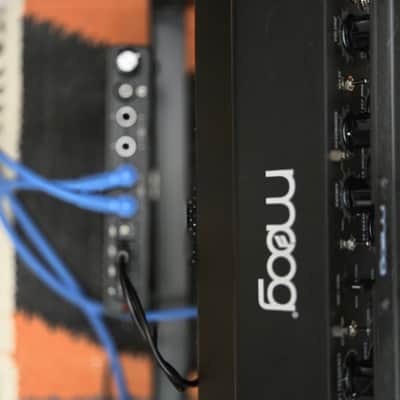 Moog Sound Studio 2 DFAM / Subharmonicon 2021 - Present - Black image 3