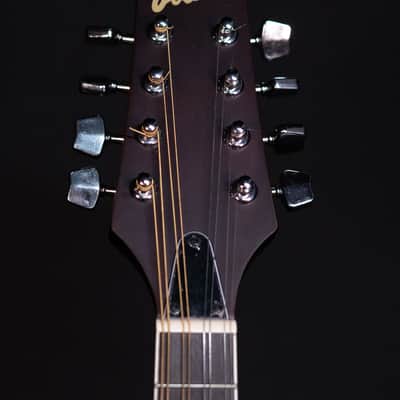 Ibanez M510E A-Style Mandolin, Open Pore Vintage Sunburst image 9