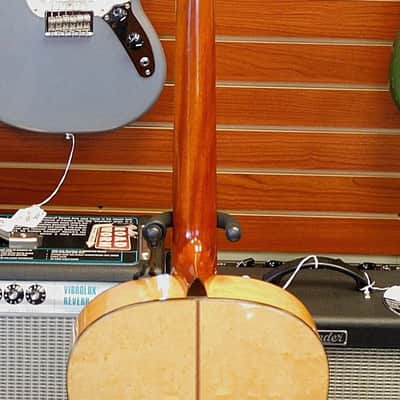 Washburn D-30S Southern Jumbo Acoustic Guitar Birds Eye Maple! image 6