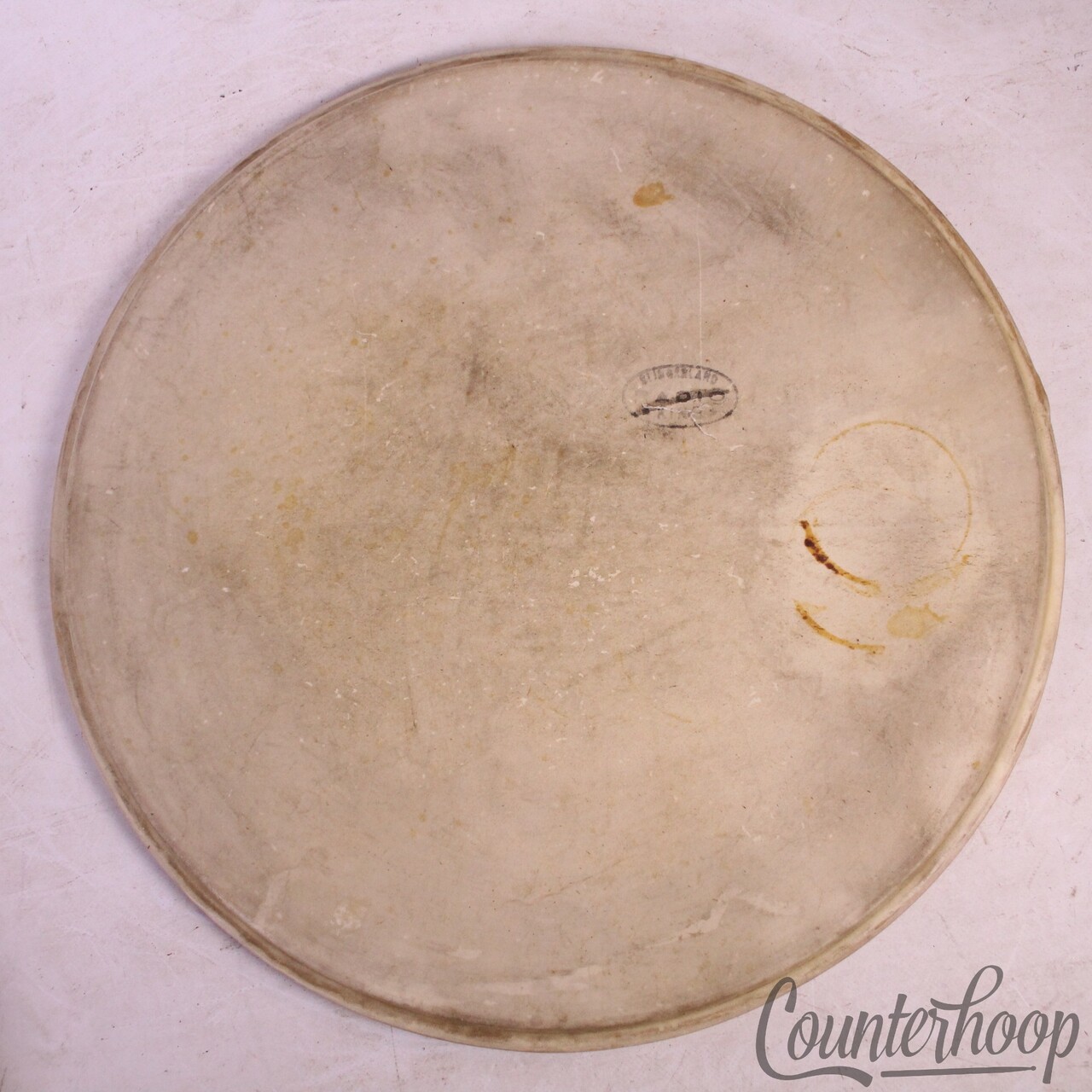 Slingerland Radio King 14" Snare/Tom Calf Skin Drum Head Batter/Resonant 50s USA — main photograph