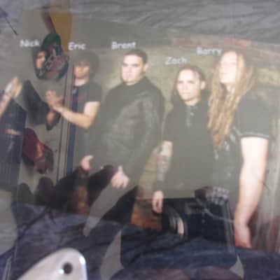 Shinedown Hand Signed & Framed Guitar Pick Guard image 6