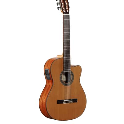 Alvarez AC65CE - Classical / Electric Guitar (NEW DEMO) image 2