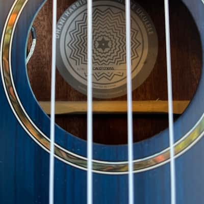 Fender Dhani Harrison Tenor Ukulele + Gig Bag - Sapphire Blue image 6