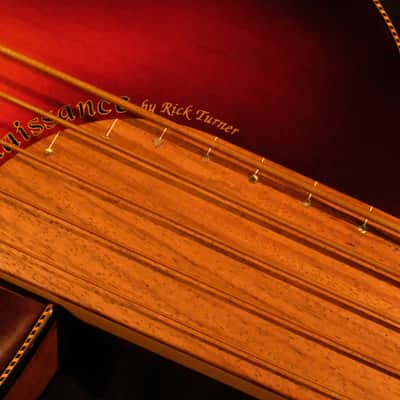 Rick Turner Renaissance  5 String Acoustic Electric Fretless Bass (RB 5-FL) Cherry Sunburst image 6
