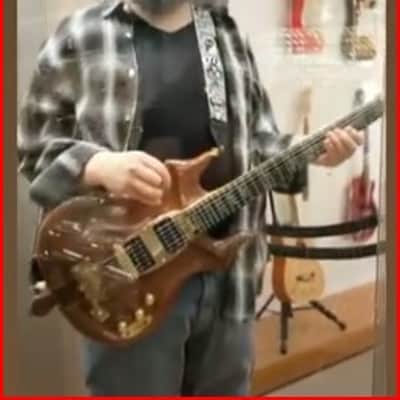 Tiger, Strad-a-Tiger #9. Jerry Garcia's Grateful Dead self built copy 2008-2024 image 23