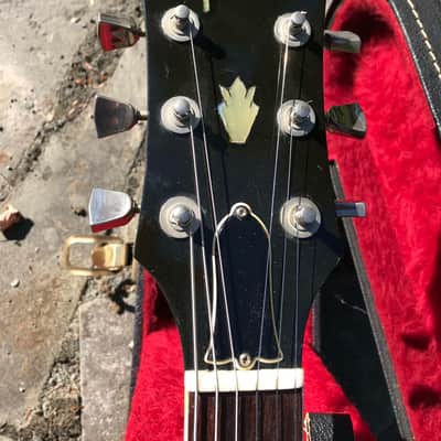 1981 Gibson ES 335 Rare Ebony finish image 7