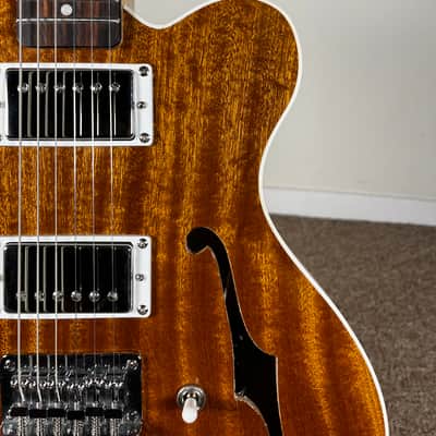Catalyst Ember Semi-Hollow Electric Guitar - Sapele - Relic Gloss Nitro image 3