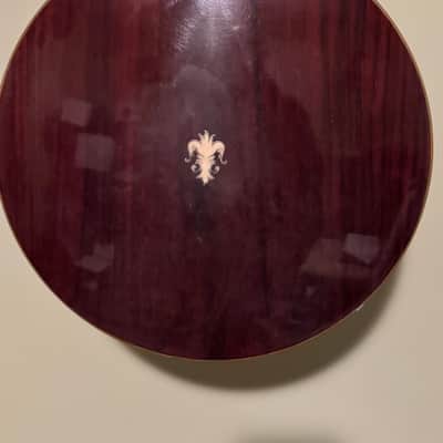 Alvarez Banjo 5 String Banjo with Hard Shell Case image 4