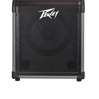 Peavey Max 100 BASS GUITAR AMPLIFIER image 1