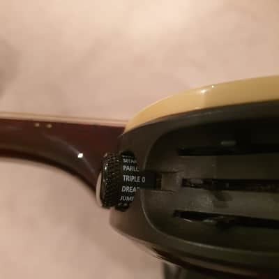 Line 6 Variax 700 acoustic early 2000s? Cedar image 7