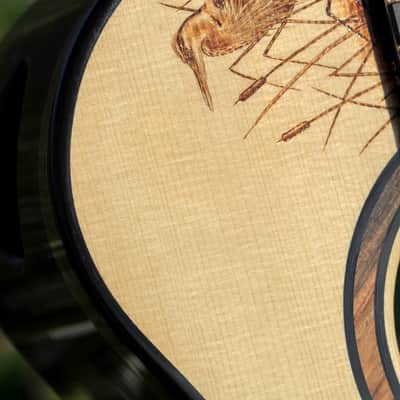 TreeHouse OMZ Acoustic Guitar - Italian Spruce over Ziricote image 2