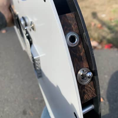 Custom R L James Guitar Custom Animal 2026 - Custom image 24